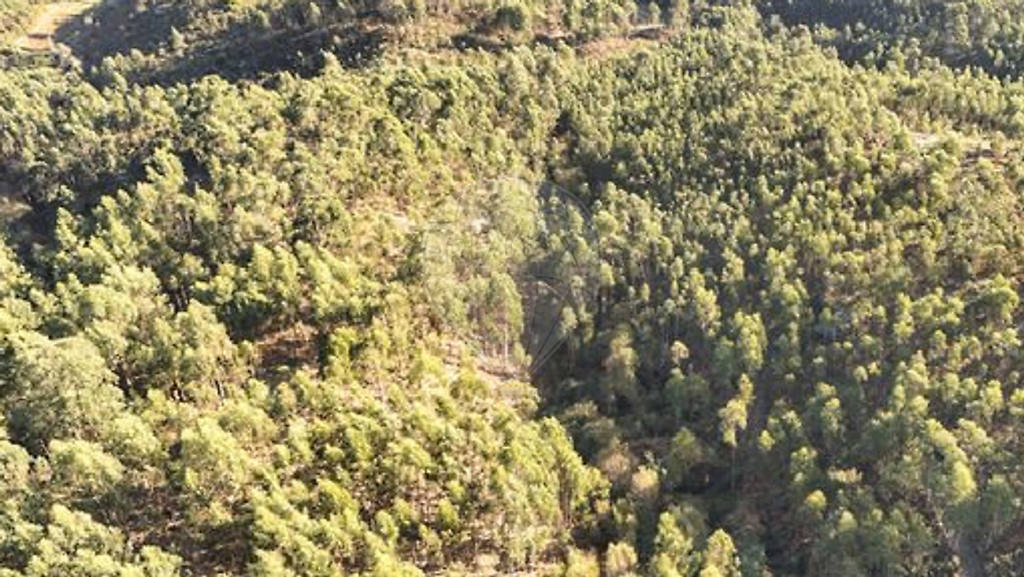 Terreno em Cabeceiras de Basto, Cabeceiras de Basto