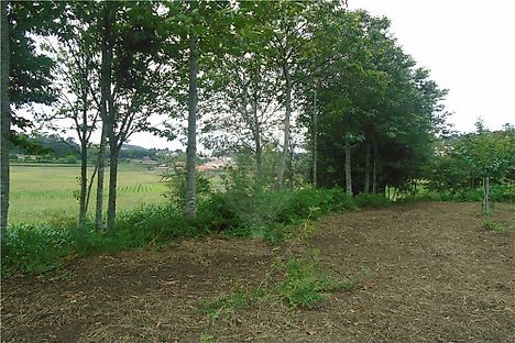 Terreno  para venda em Eiriz, Paços de Ferreira