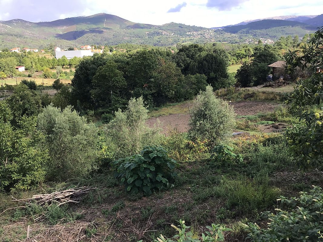 Terreno  para venda em Cavez, Cabeceiras de Basto