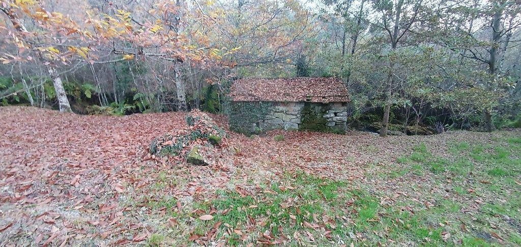 Terreno em Refojos de Basto, Outeiro e Painzela, Cabeceiras de Basto